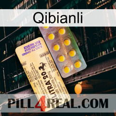 Qibianli new06